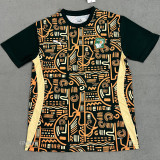 24-25 Ivory Coast Green Yellow Fans Training shirts