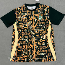 24-25 Ivory Coast Green Yellow Fans Training shirts
