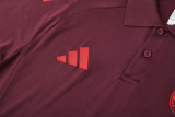 25-26 Bayern Brown Red Polo Tracksuit