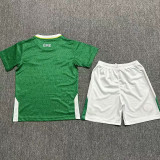 24-25 Ireland Home Kids Soccer Jersey