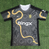 25-26 CHE Limited Edition Fans Soccer Jersey (带袖广告)