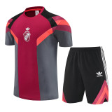 25-26 River Plate Red grey Training Short Suit