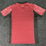 25-26 Galatasaray Third Fans Soccer Jersey (五星)
