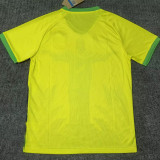 25-26 Brazil Yellow Special Edition Training shirts (绿袖口)
