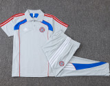 25-26 Bayern Grey Polo Tracksuit #C2547