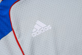 25-26 Bayern Grey Training Short Suit #D25128