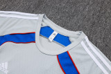 25-26 Bayern Grey Training Short Suit #D25128
