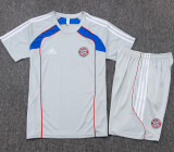 25-26 Bayern Grey Training Short Suit #D25128