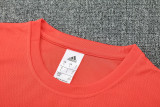 25-26 Bayern Orange Tank top and shorts suit