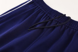 2025 AD Royal blue Jacket Tracksuit #AJ25