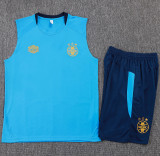 25-26 Gremio Lake blue Tank top and shorts suit #D25172