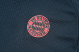 25-26 Bayern Dark gray Training Short Suit #D25169