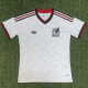 2026 Mexico Away Fans Soccer Jersey