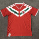 26-27 Wales Red Special Edition Fans Soccer Jersey