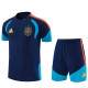 26-27 Spain Royal blue Training Short Suit