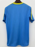25-26 Colombia Blue Casual Edition Fans Training shirts