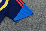 26-27 Colombia Royal blue Training Short Suit