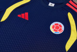 26-27 Colombia Royal blue Training Short Suit