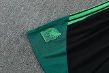 26-27 Mexico Green Training Short Suit