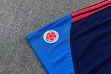 26-27 Colombia Royal blue Training Short Suit