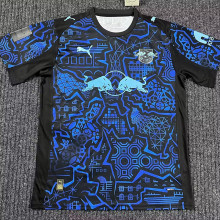 25-26 RB Leipzig Glow Darkl Edition Fans Soccer Jersey