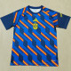 26-27 Spain Blue Training shirts