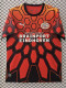 26-27 PSV Red Special Edition Fans Soccer Jersey