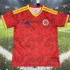 26-27 Colombia Red Special Edition Fans Training shirts