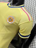 26-27 Curacao Aawy Player Version Soccer Jersey