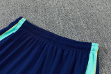 26-27 Brazil Lake blue Training Short Suit