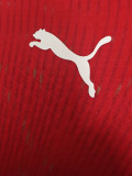 26-27 Switzerland Home Player Version Soccer Jersey