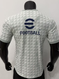 26-27 INT Grey White Player Version Training shirts