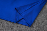 26-27 Argentina Fancy blue Training Short Suit #J26051