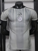 26-27 Algeria Grey Special Edition Player Version Training shirts