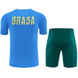 26-27 Brazil Light blue Training Short Suit