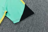 26-27 Brazil Jordan Light green Training Short Suit