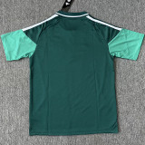 26-27 Celtic Green Polo Short Sleeve (半拉链)