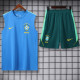 26-27 Brazil Light blue Tank top and shorts suit