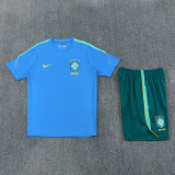 26-27 Brazil Light blue Training Short Suit
