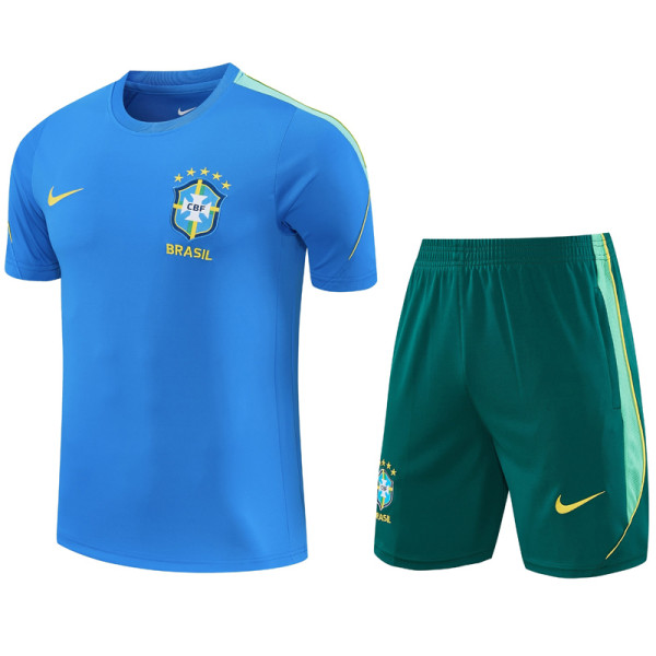 26-27 Brazil Light blue Training Short Suit
