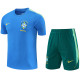 26-27 Brazil Light blue Training Short Suit