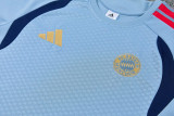 26-27 Bayern Gray Blue Training Short Suit
