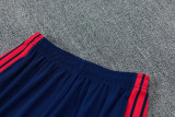 26-27 Bayern Gray Blue Training Short Suit