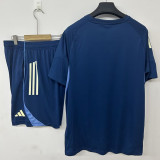 26-27 Fulham Lake blue Training Short Suit