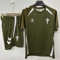 26-27 Celta Grey Training Short Suit