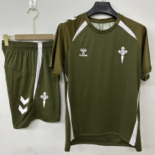 26-27 Celta Grey Training Short Suit