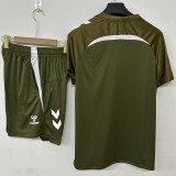 26-27 Celta Grey Training Short Suit