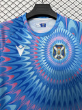 26-27 CD Tenerife Blue Training shirts