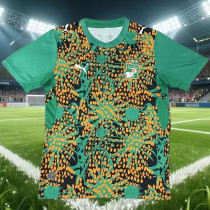 26-27 Ivory Coast Green Training shirts