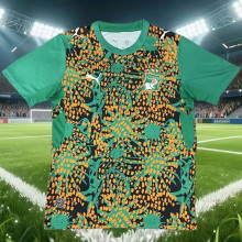 26-27 Ivory Coast Green Training shirts